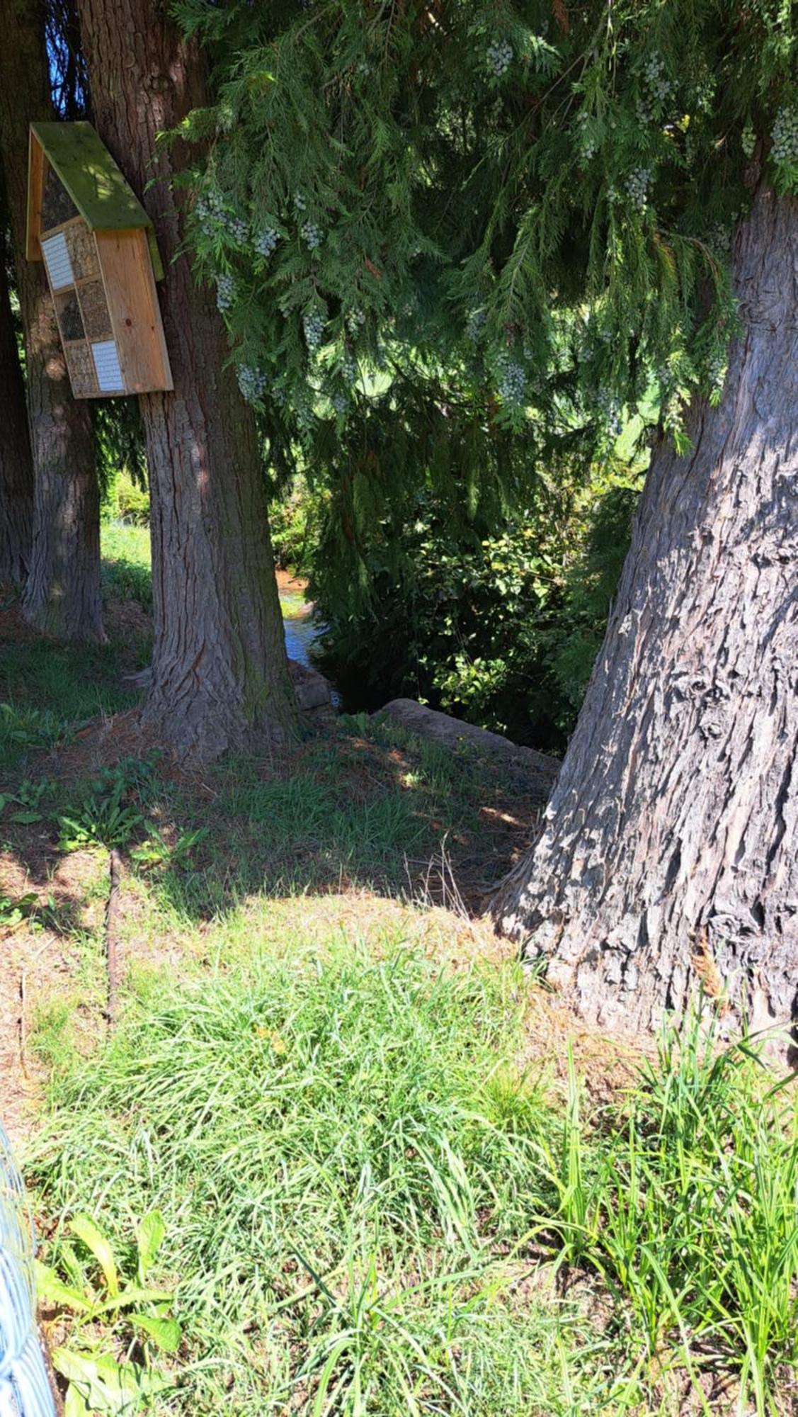 Ferienwohnung In Der Gruenheck Erlenbach  Dış mekan fotoğraf